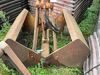Schalengrijper - afbeelding 3 van  7