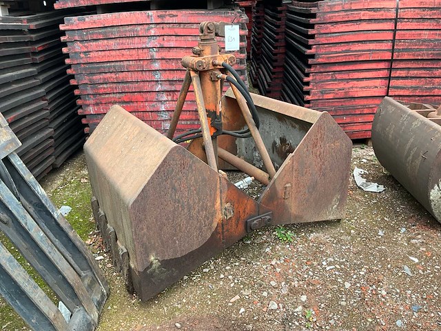 Schalengrijper - afbeelding 1 van  2