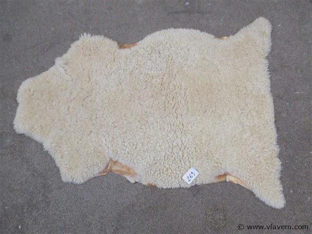 Schapen vacht - afbeelding 1 van  2