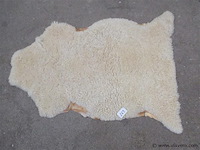 Schapen vacht - afbeelding 1 van  2
