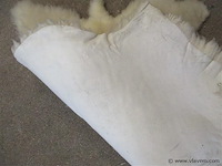 Schapen vacht - afbeelding 2 van  2