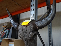 Schedel waterbuffel - afbeelding 2 van  2