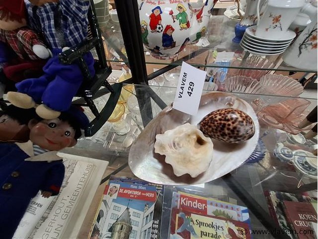 Schelpen - afbeelding 1 van  1