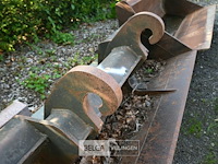 Schepbak verachtert - afbeelding 4 van  6