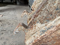 Schepbak - afbeelding 4 van  5