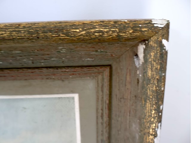 Schilderij van de vevijvere - afbeelding 4 van  4