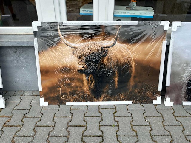 Schilderij - afbeelding 1 van  3