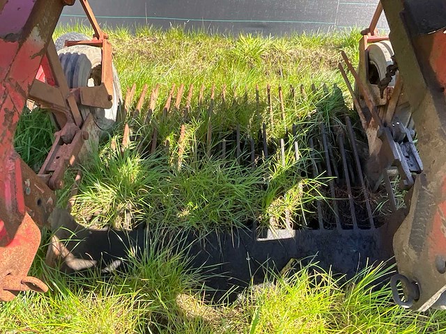 Schudlichter rooier boomkwekerij - afbeelding 8 van  8