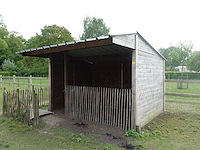 Schuilstal - afbeelding 1 van  8