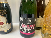 Schuimwijn (16x) - afbeelding 1 van  8