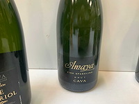 Schuimwijn (16x) - afbeelding 8 van  8