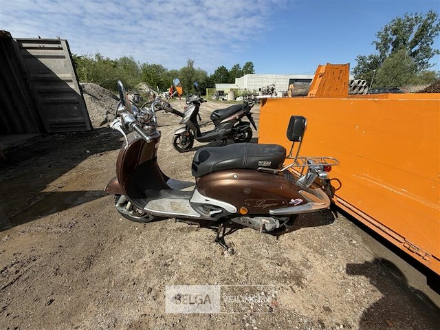 Scooter razza - afbeelding 5 van  12