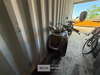 Scooter razza - afbeelding 7 van  12