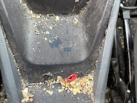 Seat ibiza, 5p/d 1.4 tdi ecomotive dpf,2010 - afbeelding 14 van  37