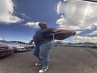 Seat leon 1.6 cr tdi e-ecomotive reference copa, 2011 - afbeelding 25 van  33