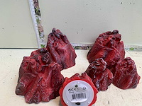 Seizoensartikelen - afbeelding 4 van  4