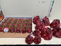 Seizoensartikelen - afbeelding 3 van  4