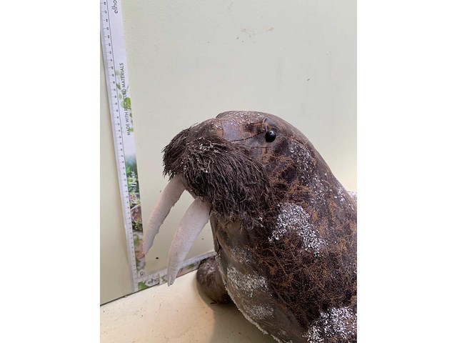 Seizoensartikelen - afbeelding 6 van  6