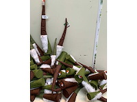 Seizoensartikelen - afbeelding 3 van  4