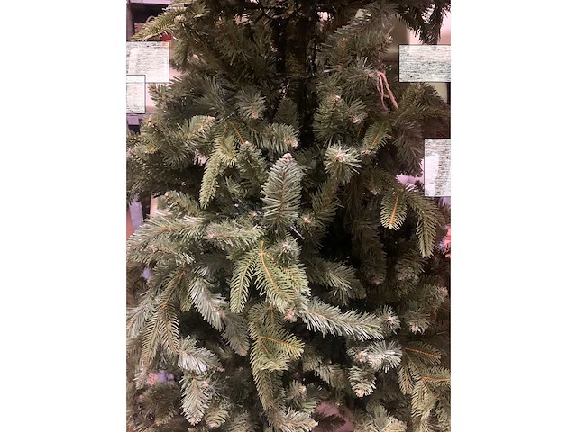 Seizoensartikelen - afbeelding 1 van  3