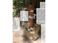 Seizoensartikelen - afbeelding 3 van  3