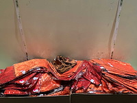 Seizoensartikelen - afbeelding 1 van  3