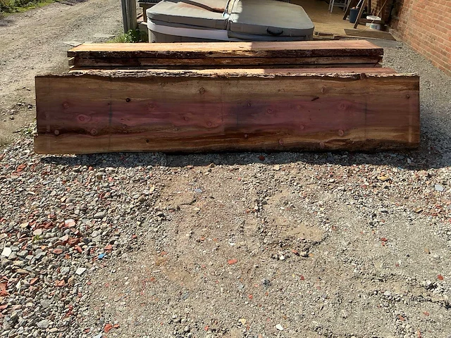 Sequoiadendron boomstamplanken - 300 cm - ca. 52 mm dik - afbeelding 3 van  10