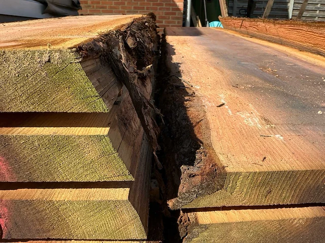 Sequoiadendron boomstamplanken - 300 cm - ca. 52 mm dik - afbeelding 5 van  10