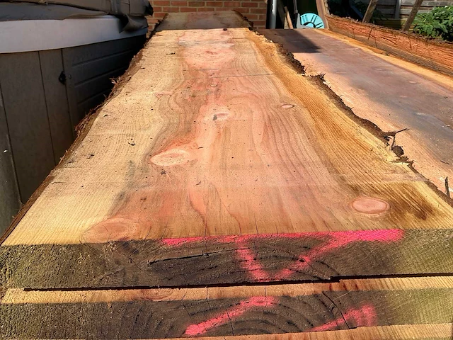 Sequoiadendron boomstamplanken - 300 cm - ca. 52 mm dik - afbeelding 6 van  10