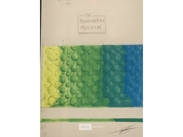 Sergio de beukelaer - afbeelding 2 van  4