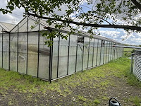 Serre - afbeelding 1 van  6
