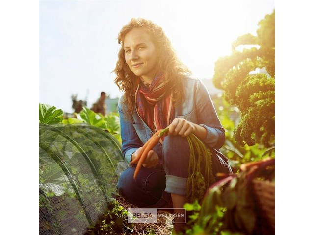 Serretunnel - afbeelding 2 van  7