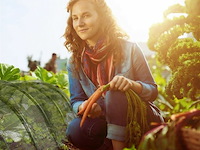 Serretunnel - afbeelding 2 van  7