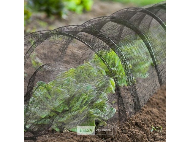 Serretunnel - afbeelding 3 van  7