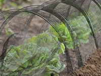 Serretunnel - afbeelding 3 van  7