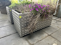 Set bloembakken (2st) 100cm x 50cm x 52cm - afbeelding 2 van  2