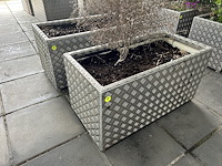 Set bloembakken (2st) 100cm x 50cm x 52cm - afbeelding 2 van  2