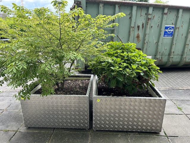 Set bloembakken (2st) 92cm x 92cm x 52cm - afbeelding 1 van  2