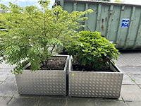 Set bloembakken (2st) 92cm x 92cm x 52cm