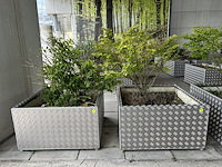 Set bloembakken (2st) 92cm x 92cm x 52cm