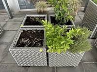 Set bloembakken (4st) 50cm x 50cm x 52cm - afbeelding 3 van  3