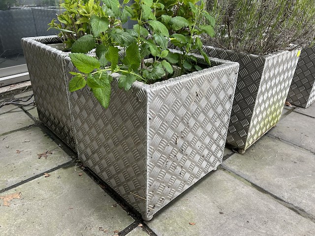 Set bloembakken (4st) 50cm x 50cm x 52cm - afbeelding 1 van  3