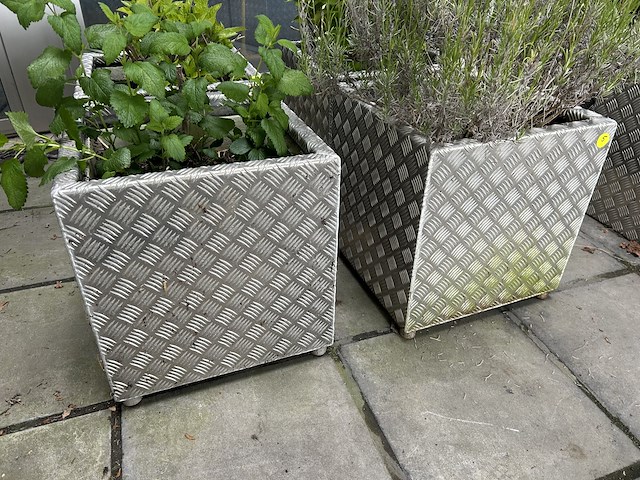 Set bloembakken (4st) 50cm x 50cm x 52cm - afbeelding 2 van  3