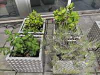 Set bloembakken (4st) 50cm x 50cm x 52cm - afbeelding 3 van  3