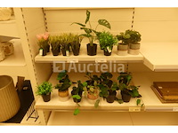 Set decoratieve voorwerpen - afbeelding 13 van  20