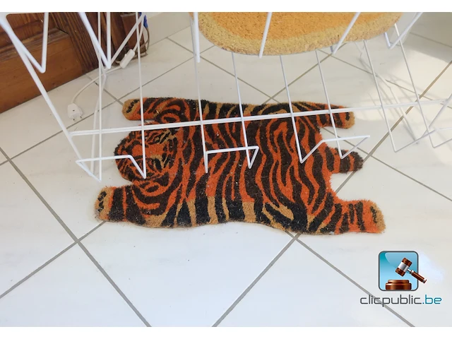 Set displays met inhoud - afbeelding 18 van  24