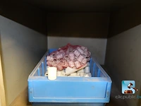 Set kluisjes met inhoud - afbeelding 31 van  37