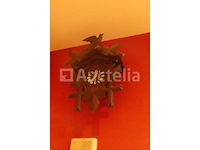 Set muurdecoraties - afbeelding 5 van  21