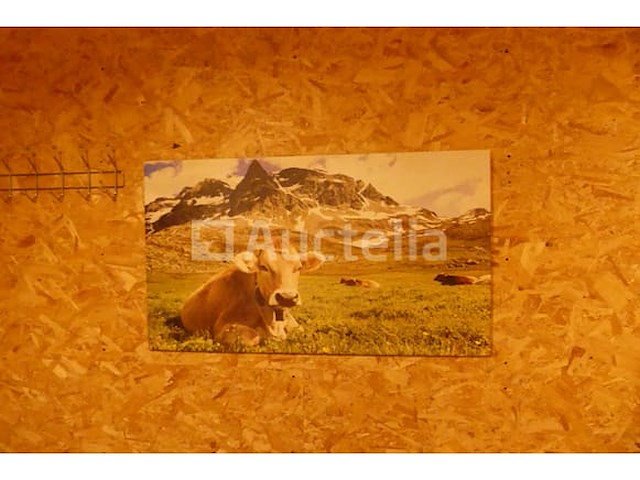 Set muurdecoraties - afbeelding 13 van  21