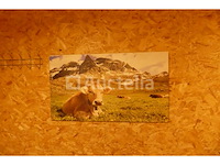 Set muurdecoraties - afbeelding 13 van  21